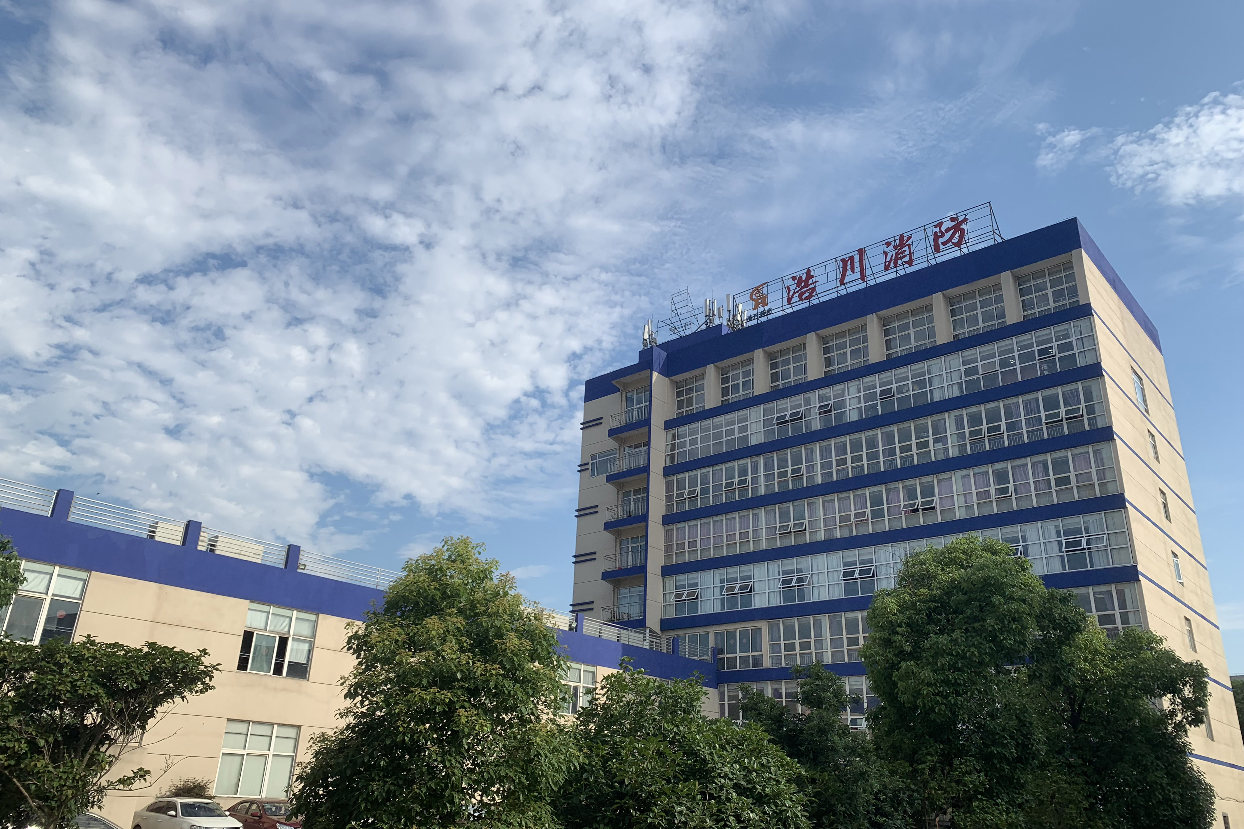 名称
